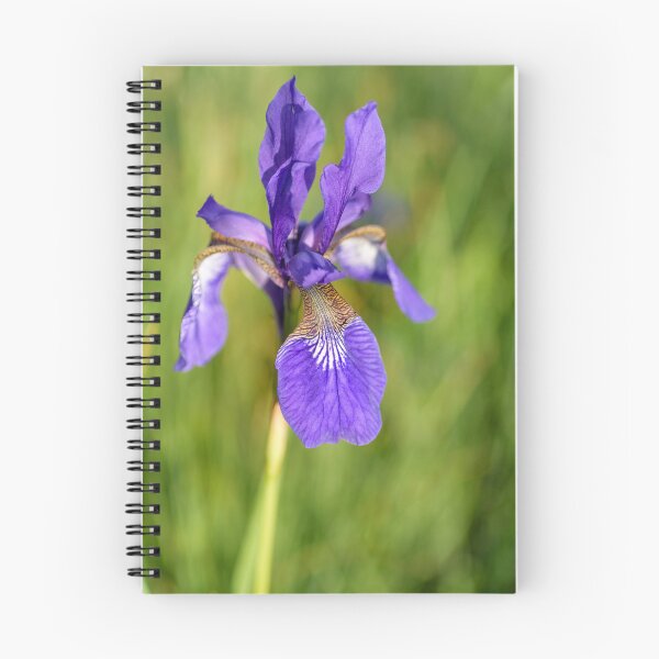 Item preview, Siberian Iris in a Meadow designed and sold by Kasia Design.