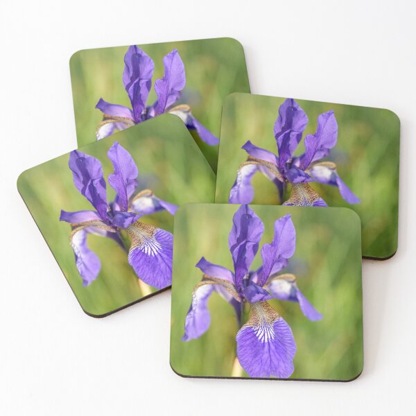 Item preview, Siberian Iris in a Meadow designed and sold by Kasia Design.