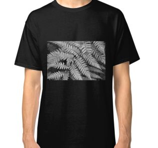 silver fern shirt