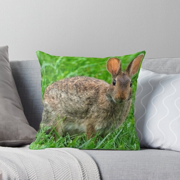 Item preview, Looking at the local paparazzi designed and sold by Joel Bader.