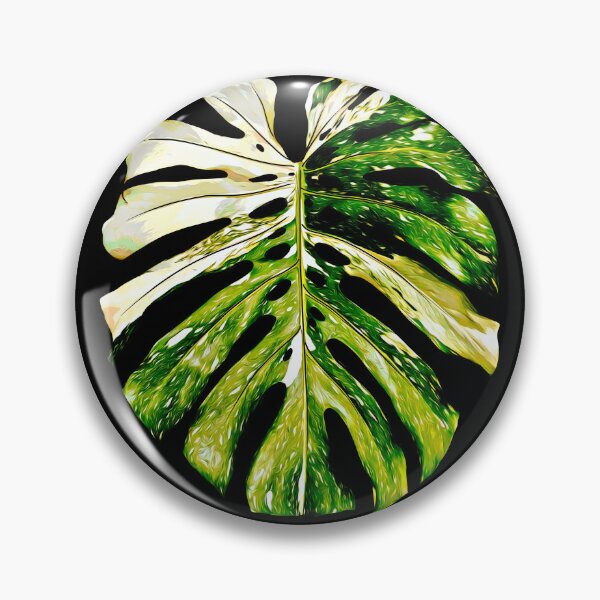Item preview, MONSTERA THAI CONSTELLATION designed and sold by MYPLANTEES.