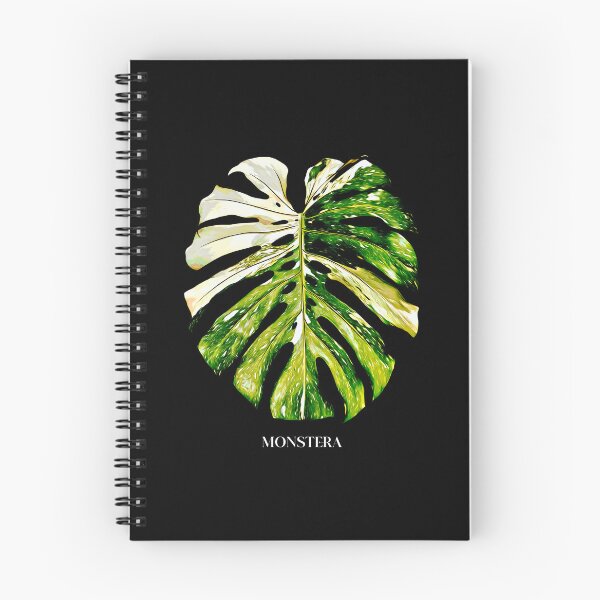 Item preview, MONSTERA THAI CONSTELLATION designed and sold by MYPLANTEES.