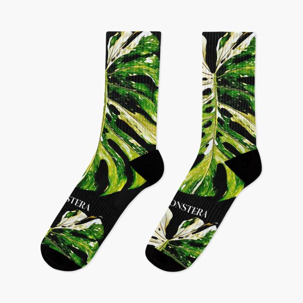 Item preview, MONSTERA THAI CONSTELLATION designed and sold by MYPLANTEES.