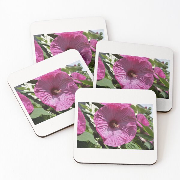 Item preview, Bloomed Flower designed and sold by emgcphoto.