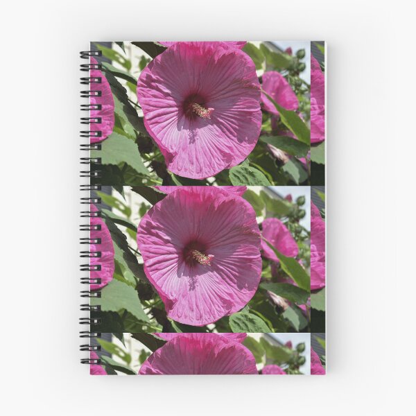 Item preview, Bloomed Flower designed and sold by emgcphoto.