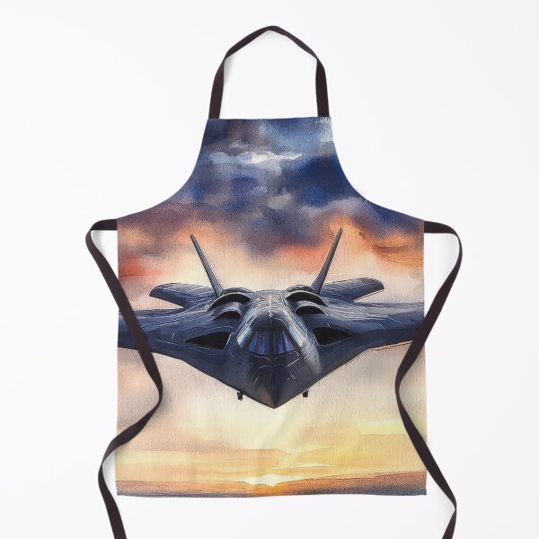 Item preview, USAF B-21 Raider designed and sold by Skyframe Aviation.