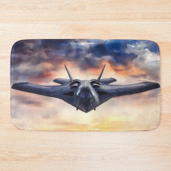 Item preview, USAF B-21 Raider designed and sold by Skyframe Aviation.