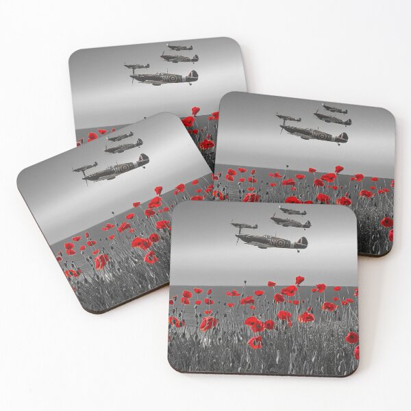 Item preview, Flypast designed and sold by Skyframe Aviation.