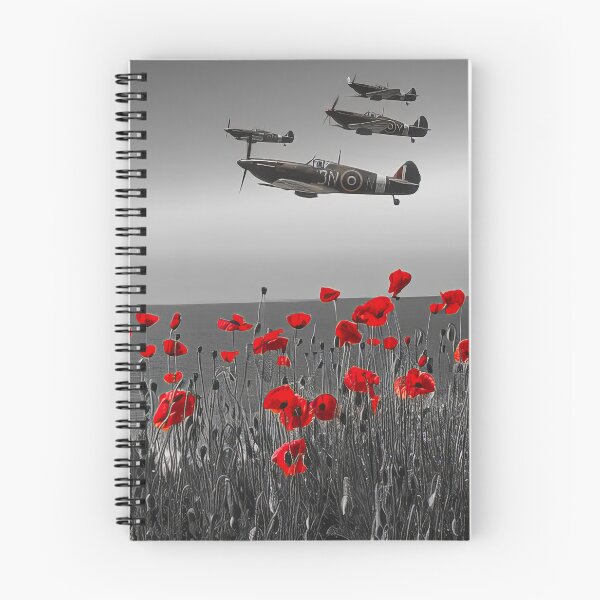 Item preview, Flypast designed and sold by Skyframe Aviation.