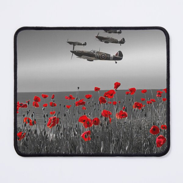 Item preview, Flypast designed and sold by Skyframe Aviation.