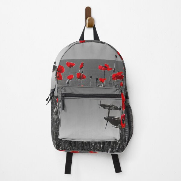 Item preview, Flypast designed and sold by Skyframe Aviation.