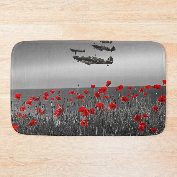 Item preview, Flypast designed and sold by Skyframe Aviation.