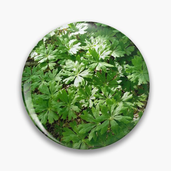 Item preview, Mayapples designed and sold by bjtomiko.