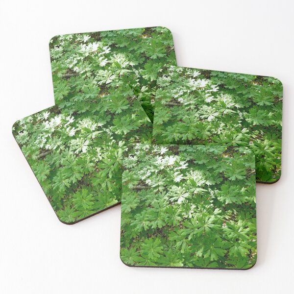 Item preview, Mayapples designed and sold by bjtomiko.