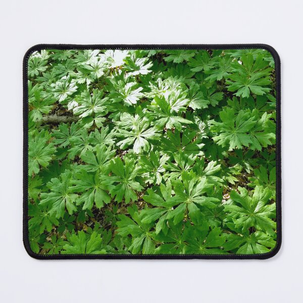 Item preview, Mayapples designed and sold by bjtomiko.