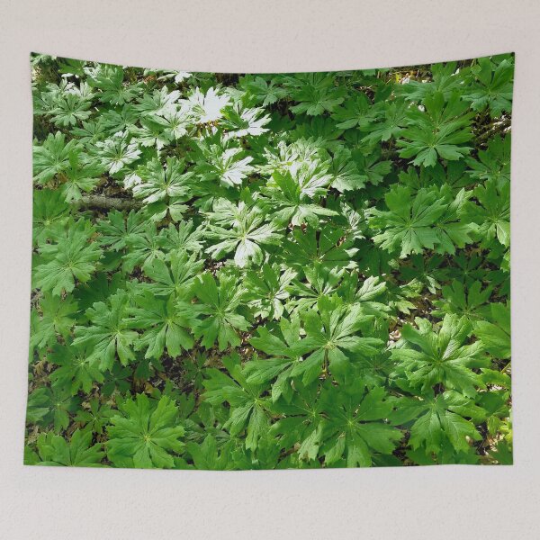Item preview, Mayapples designed and sold by bjtomiko.