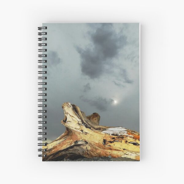Item preview, orifice stump designed and sold by NS-Production.