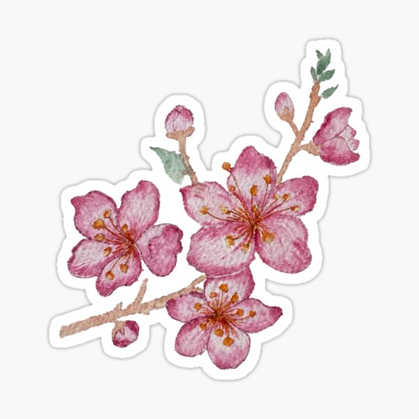 Item preview, Free hand Sakura flower designed and sold by Umami-Kook.