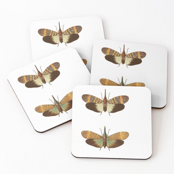 Item preview, Vintage true bug illustration designed and sold by Dana Ringler.