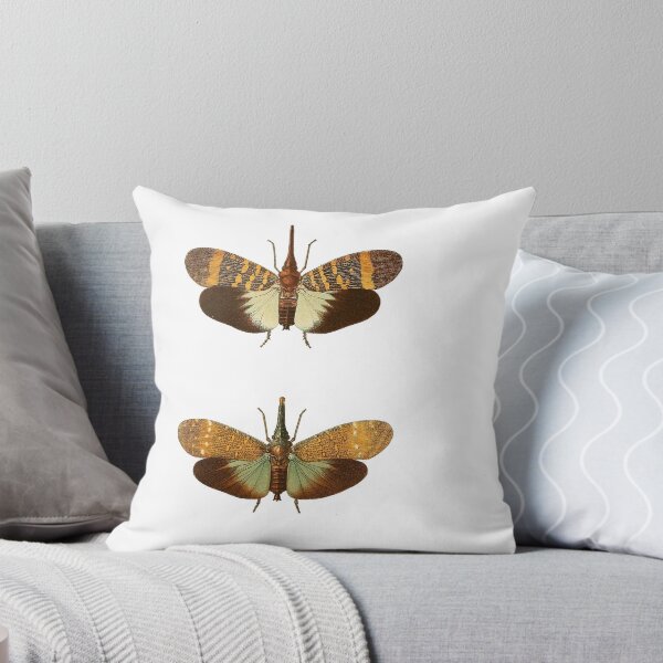 Item preview, Vintage true bug illustration designed and sold by Dana Ringler.