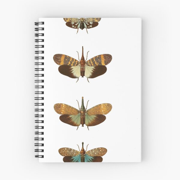 Item preview, Vintage true bug illustration designed and sold by Dana Ringler.