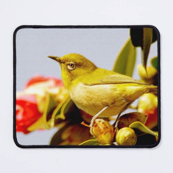 Item preview, Birds designed and sold by boyidoki.