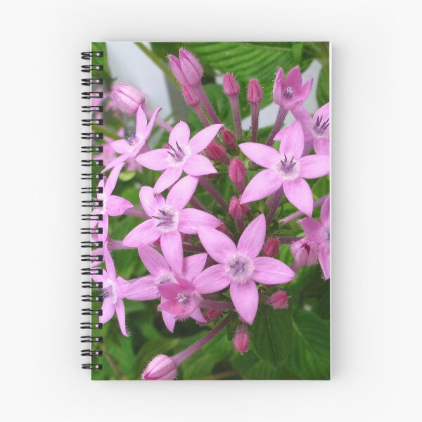 Item preview, Purple Pentas IV designed and sold by AmandaDiedrick.