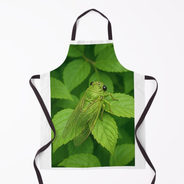 Item preview, Cicada, bug, insect designed and sold by Wolfsummit.