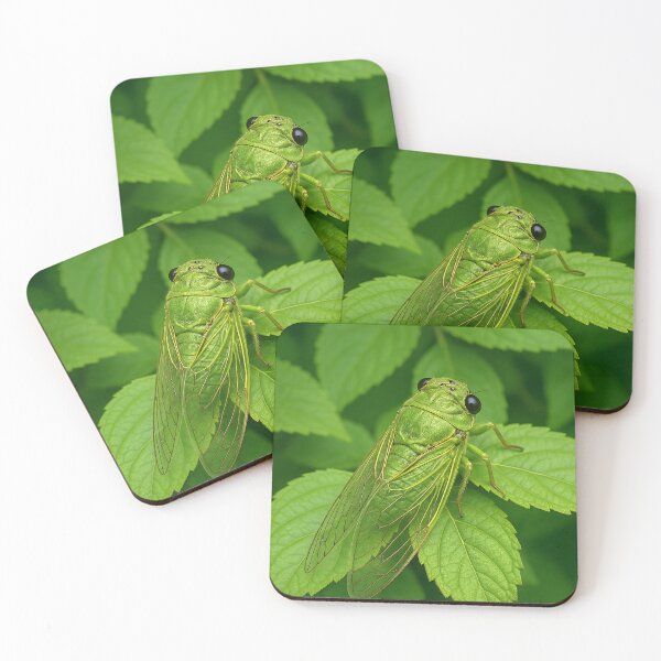 Item preview, Cicada, bug, insect  designed and sold by Wolfsummit.