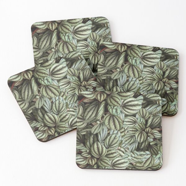 Item preview, Perfect Peperomia  designed and sold by JuleZ54.