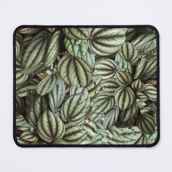 Item preview, Perfect Peperomia  designed and sold by JuleZ54.