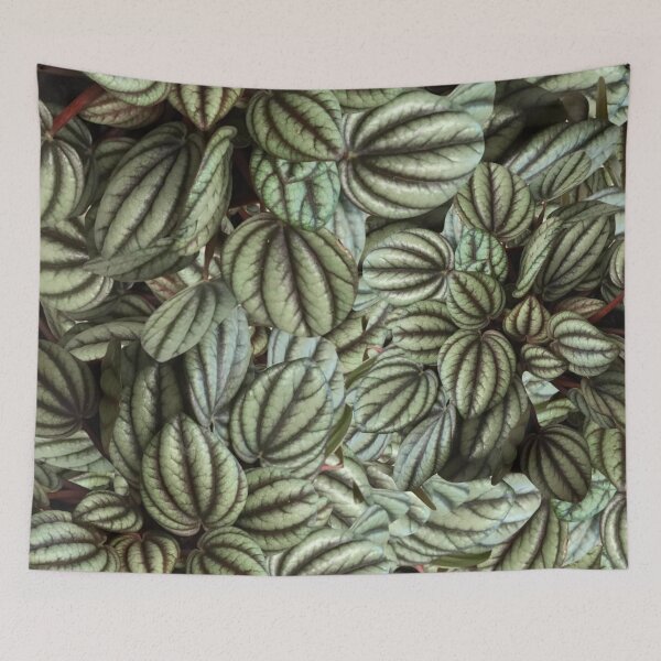 Item preview, Perfect Peperomia  designed and sold by JuleZ54.