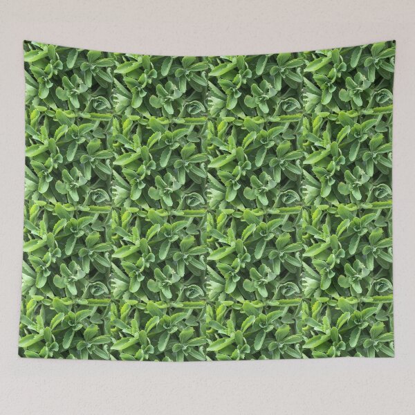 Item preview, Stonecrop Plaid designed and sold by JuleZ54.
