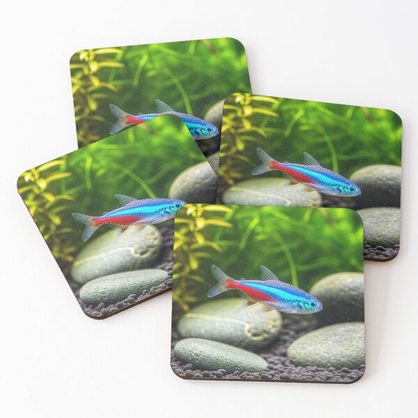 Item preview, Fish, Neon Tetra, tropical fish  designed and sold by Wolfsummit.