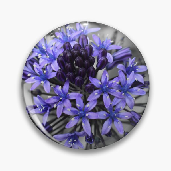 Item preview, Portuguese Squill Beauty designed and sold by Yolanda Caporn Art.