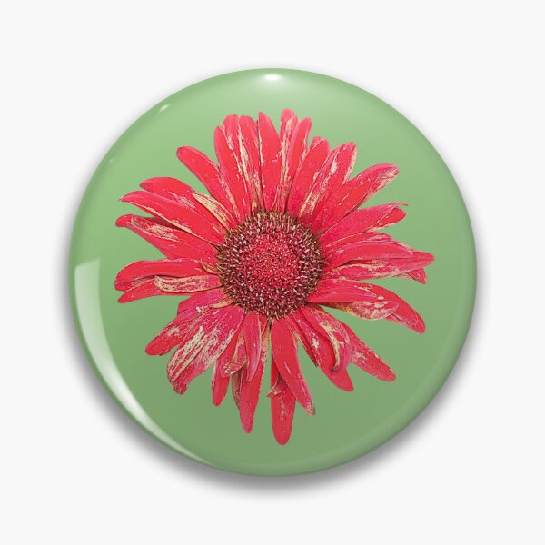 Item preview, Barberton Daisy Botanical Illustration designed and sold by bvdesignart.