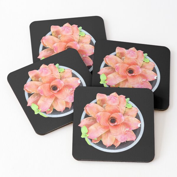 Item preview, Hylaeaicum Eleutheropetalum Botanical Illustration designed and sold by bvdesignart.