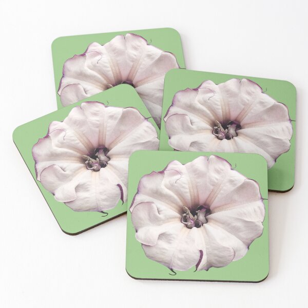 Item preview, Datura Metel Botanical Illustration designed and sold by bvdesignart.