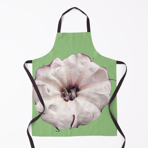 Item preview, Datura Metel Botanical Illustration designed and sold by bvdesignart.