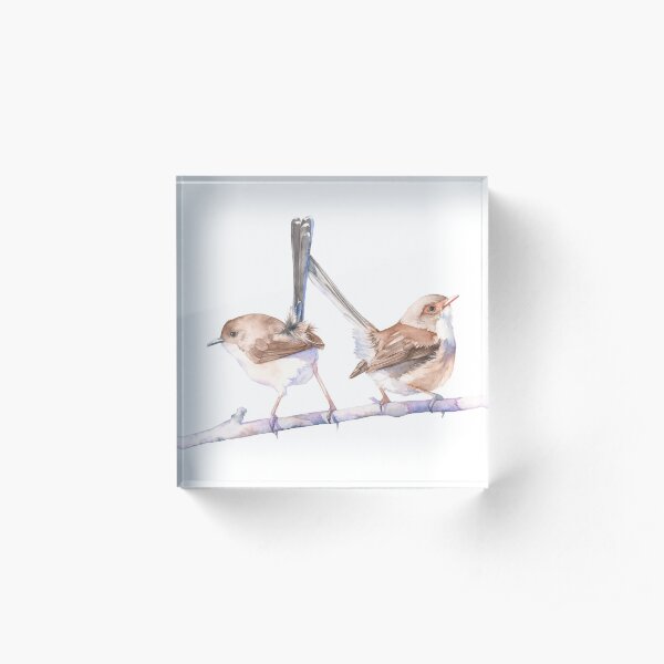 Fairy Wrens Acrylic Block
