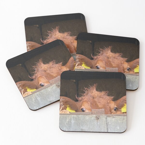 Item preview, Curious Cow designed and sold by Kate Anderson Art.