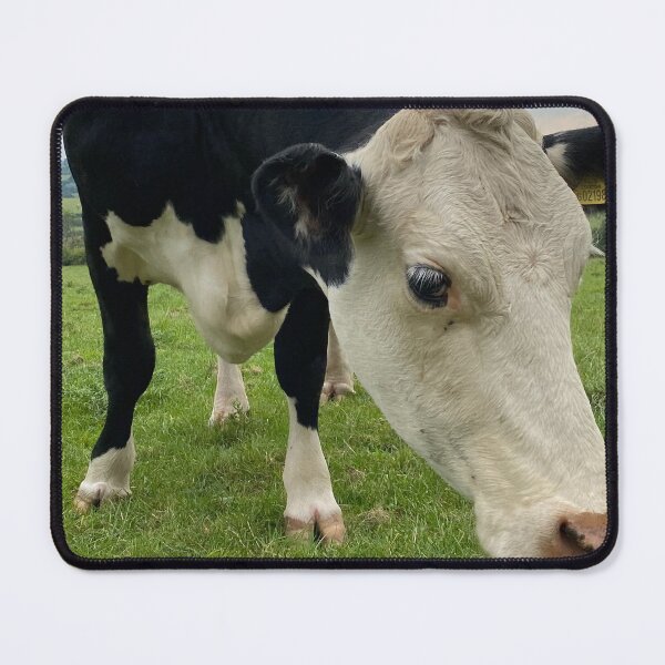Item preview, Curious Cow near Launde Abbey, Rutland, UK designed and sold by Kate Anderson Art.