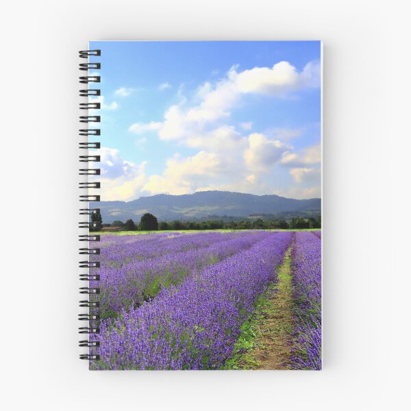 Item preview, Lavander in Umbria designed and sold by annalisa56.