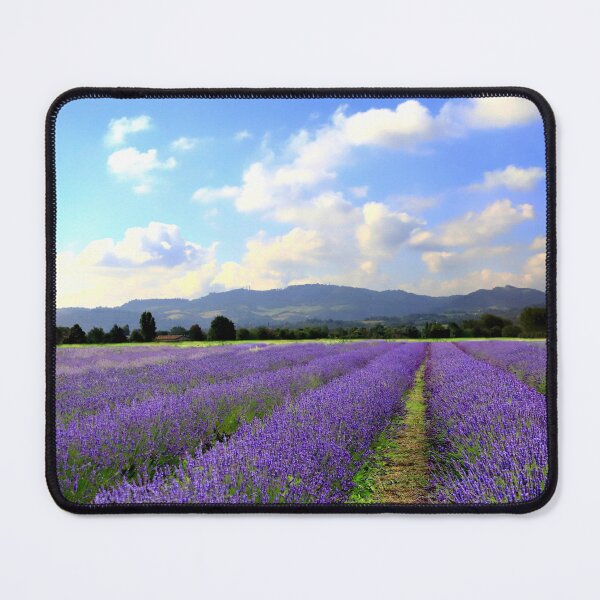 Item preview, Lavander in Umbria designed and sold by annalisa56.