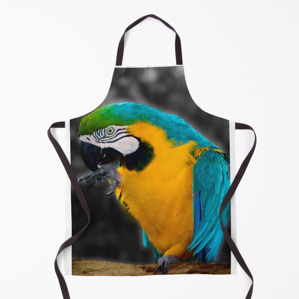Item preview, Pirate's Familiar designed and sold by MercerImages.