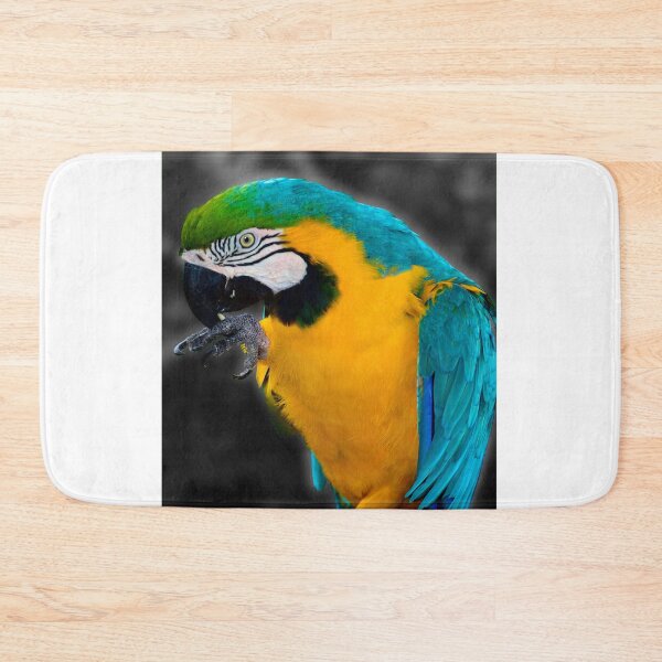 Item preview, Pirate's Familiar designed and sold by MercerImages.