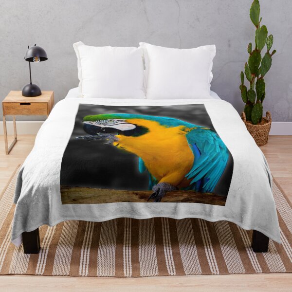 Item preview, Pirate's Familiar designed and sold by MercerImages.