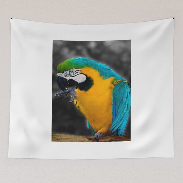 Item preview, Pirate's Familiar designed and sold by MercerImages.