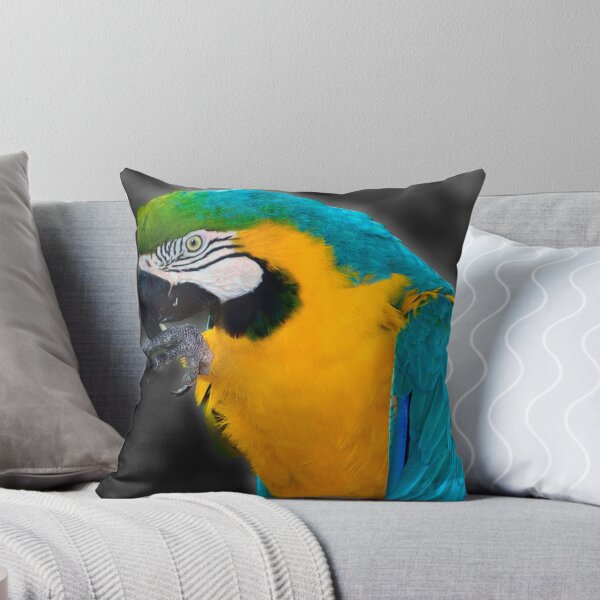 Item preview, Pirate's Familiar designed and sold by MercerImages.