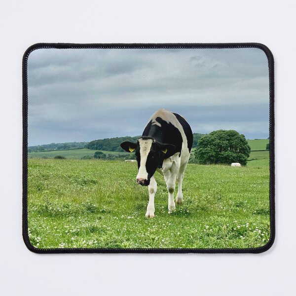 Item preview, Cow on a Hill, Glapthorn, Northamptonshire, UK designed and sold by Kate Anderson Art.